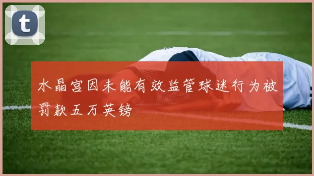 水晶宫因未能有效监管球迷行为被罚款五万英镑