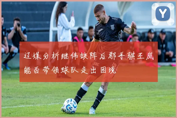 辽媒分析继伟缺阵后鄢手骐王岚嵚能否带领球队走出困境