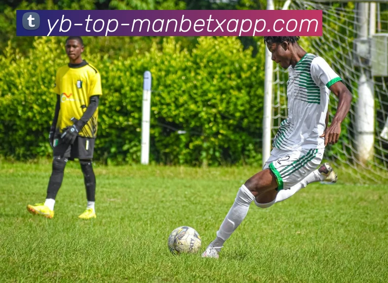 万博体育品牌故事